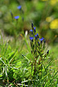 BUITEN BEELD Foto: 446487