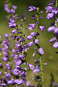 BUITEN BEELD Foto: 446489