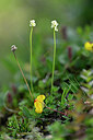 BUITEN BEELD Foto: 446492