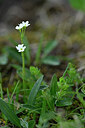 BUITEN BEELD Foto: 446493