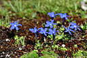 BUITEN BEELD Foto: 446494