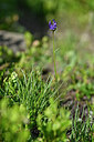 BUITEN BEELD Foto: 446498