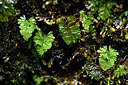 BUITEN BEELD Foto: 446499