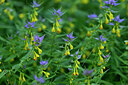 BUITEN BEELD Foto: 446500