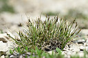 BUITEN BEELD Foto: 446501
