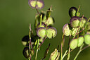 BUITEN BEELD Foto: 446502