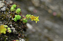BUITEN BEELD Foto: 446503