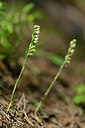 BUITEN BEELD Foto: 446504