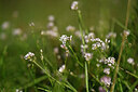 BUITEN BEELD Foto: 446509