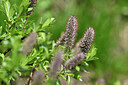 BUITEN BEELD Foto: 446513