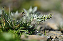 BUITEN BEELD Foto: 446516