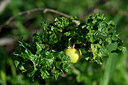 BUITEN BEELD Foto: 446522