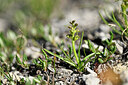BUITEN BEELD Foto: 446527