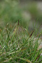 BUITEN BEELD Foto: 446536