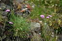 BUITEN BEELD Foto: 446537