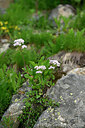 BUITEN BEELD Foto: 446541
