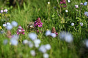 BUITEN BEELD Foto: 446547
