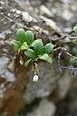 BUITEN BEELD Foto: 446558