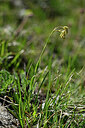 BUITEN BEELD Foto: 446563
