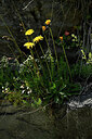 BUITEN BEELD Foto: 446564