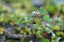 BUITEN BEELD Foto: 446571