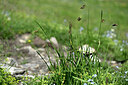 BUITEN BEELD Foto: 446579