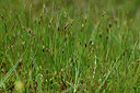 BUITEN BEELD Foto: 446598