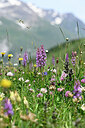 BUITEN BEELD Foto: 446599