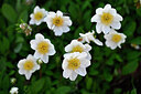 BUITEN BEELD Foto: 446606