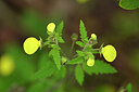 BUITEN BEELD Foto: 446608