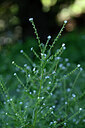 BUITEN BEELD Foto: 446609