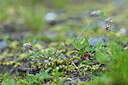 BUITEN BEELD Foto: 446619