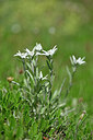 BUITEN BEELD Foto: 446624