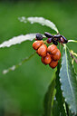 BUITEN BEELD Foto: 446626