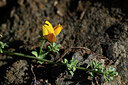 BUITEN BEELD Foto: 446629