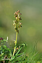 BUITEN BEELD Foto: 446633