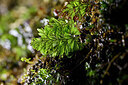 BUITEN BEELD Foto: 446634
