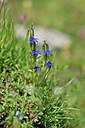BUITEN BEELD Foto: 446637