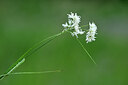 BUITEN BEELD Foto: 446640