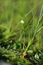 BUITEN BEELD Foto: 446641