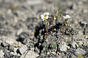 BUITEN BEELD Foto: 446646