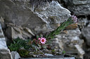 BUITEN BEELD Foto: 446650
