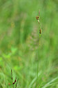 BUITEN BEELD Foto: 446654