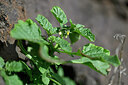 BUITEN BEELD Foto: 446658