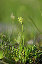 BUITEN BEELD Foto: 446660