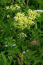BUITEN BEELD Foto: 446663