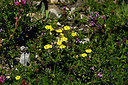 BUITEN BEELD Foto: 446664