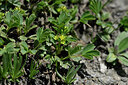 BUITEN BEELD Foto: 446667