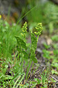 BUITEN BEELD Foto: 446668