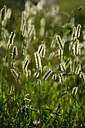 BUITEN BEELD Foto: 446669